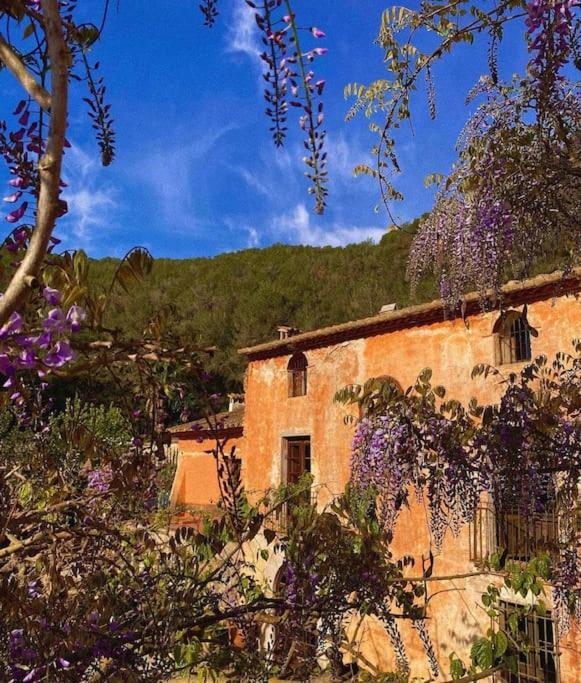 Villa Catalina Aka Villa Almanita サン・ペレ・デ・リベス エクステリア 写真